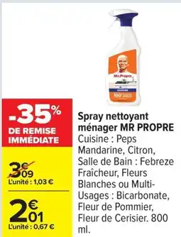 Carrefour Spray nettoyant ménager mr propre offre