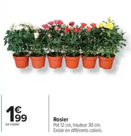 Carrefour Rosier offre