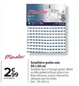 Carrefour Serpillière gratte-sols offre