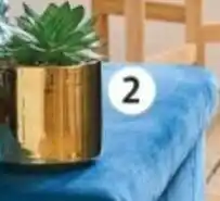 Auchan Plante artificielle actuel offre