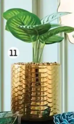 Auchan Plante artificielle actuel offre