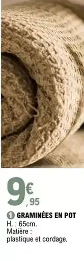 E.Leclerc Graminees en pot offre