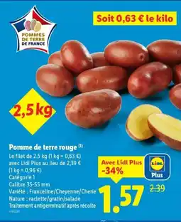 Lidl Pomme de terre rouge offre