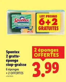 Lidl SPONTEX 2 gratte éponges stop-graisse offre