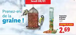 Lidl Suspension de graines à oiseaux offre