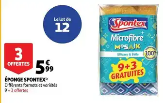 Auchan Spontex éponge* offre