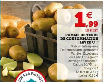 U Express U pomme de terre de consommation lavee offre