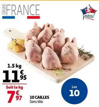 Auchan 10 cailles offre
