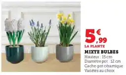 U Express Mixte bulbes offre