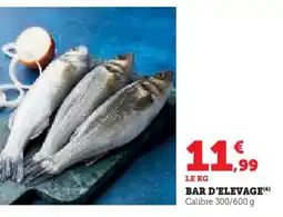 Hyper U Bar d'elevage offre