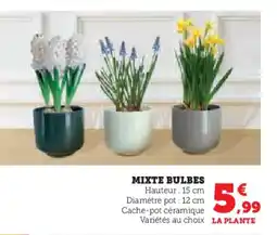 Hyper U Mixte bulbes offre