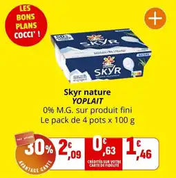 Coccimarket Skyr nature yoplait offre