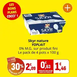 Coccinelle Express Skyr nature yoplait offre