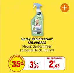 Coccinelle Express Spray désinfectant mr.propre offre