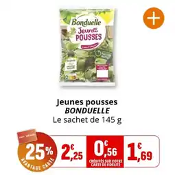 Coccinelle Express Jeunes pousses bonduelle offre