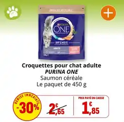 Coccinelle Express Croquettes pour chat adulte purina one offre