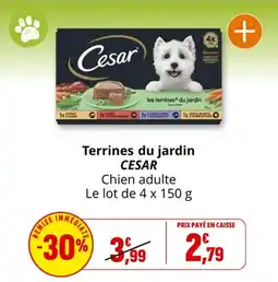 Coccinelle Express Terrines du jardin cesar offre