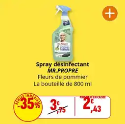 Coccinelle Supermarché Spray désinfectant mr.propre offre