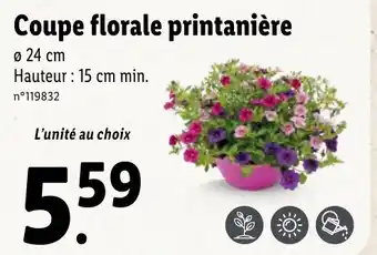 Lidl Coupe florale printaniére offre