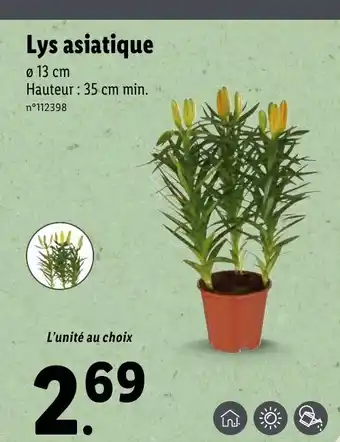 Lidl Lys asiatique offre