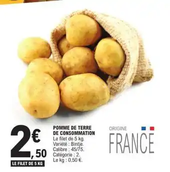 POMME DE TERRE DE CONSOMMATION