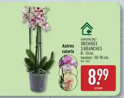 ALDI GARDENLINE ORCHIDÉE 3 BRANCHES offre
