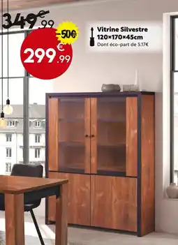 Maxi Bazar Vitrine silvestre offre