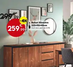 Maxi Bazar Bahut silvestre offre