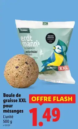 Lidl Erdtmann's boule de graisse xxl pour mésanges offre