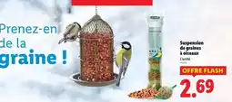 Lidl Erdt mann's - suspension de graines à oiseaux offre