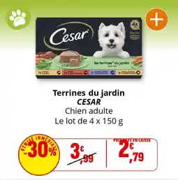 Coccinelle Supermarché Terrines du jardin cesar offre
