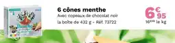 Picard 6 cônes menthe offre
