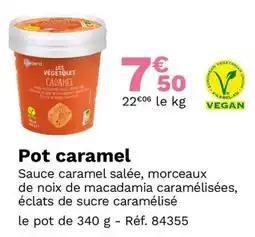 Picard Pot caramel offre
