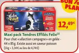 Maxi Zoo Felix maxi pack tendres effilés felix offre