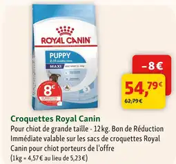 Maxi Zoo Royal canin croquettes offre