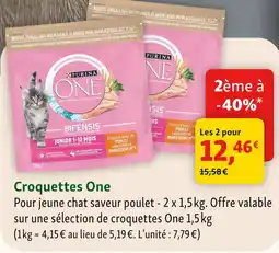 Maxi Zoo Purina croquettes one offre