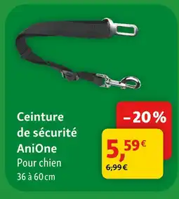 Maxi Zoo Anione ceinture de sécurité offre