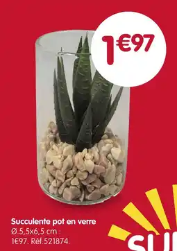 b&m Succulente pot en verre offre