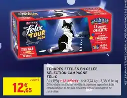Intermarché TENDRES EFFILÉS EN GELÉE SÉLECTION CAMPAGNE FELIX offre