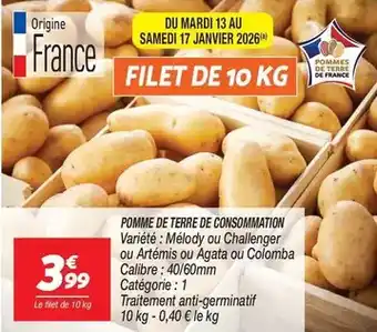 Pomme de terre de consommation