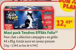 Maxi Zoo Purina - maxi pack tendres effilés felix offre