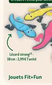 Maxi Zoo Fit+fun - lézard strong offre