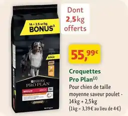 Maxi Zoo Purina - croquettes pro plan offre
