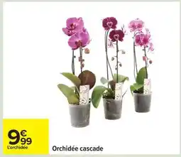 Carrefour Orchidée cascade offre