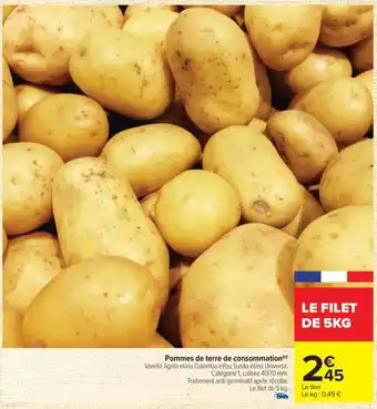 Pommes de terre de consommation