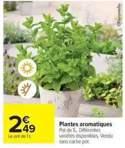 Carrefour Drive Samia - salade mechouia offre