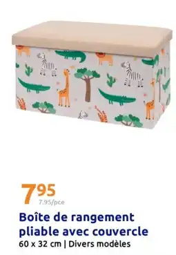 Action Boîte de rangement pliable avec couvercle offre