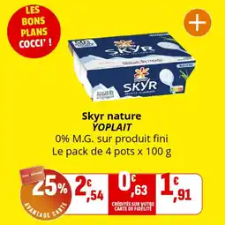 Coccinelle Supermarché Skyr nature yoplait offre