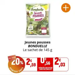 Coccinelle Supermarché Jeunes pousses bonduelle offre