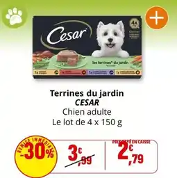 Coccinelle Supermarché Cesar - terrines du jardin offre